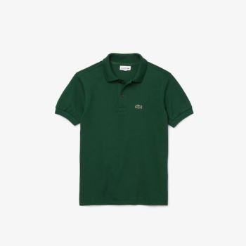 Lacoste Petit Piqué Polo - Polo Dětské Zelene | CZ-KgyAS4